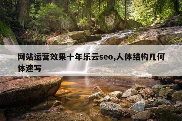 网站运营效果十年乐云seo,人体结构几何体速写