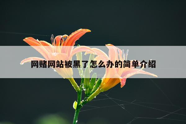 网赌网站被黑了怎么办的简单介绍