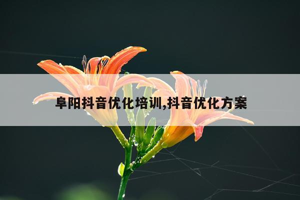 阜阳抖音优化培训,抖音优化方案