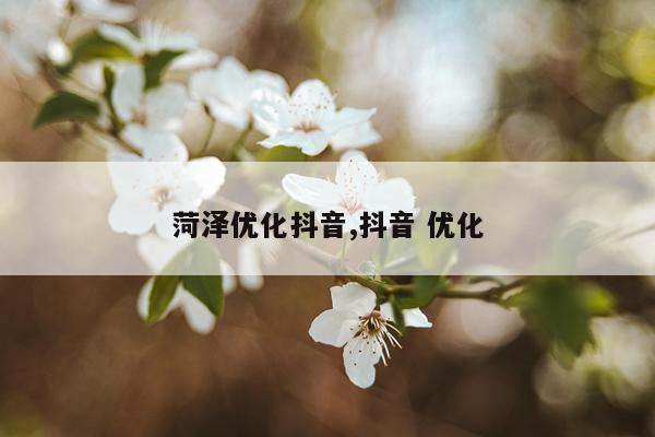 菏泽优化抖音,抖音 优化