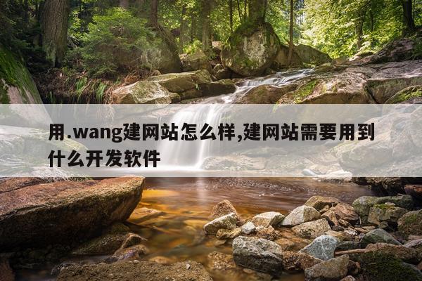 用.wang建网站怎么样,建网站需要用到什么开发软件