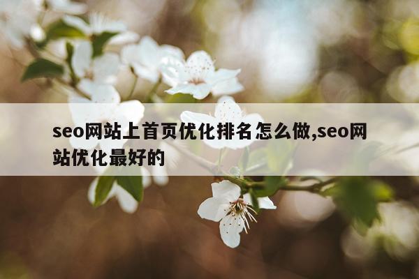 seo网站上首页优化排名怎么做,seo网站优化最好的