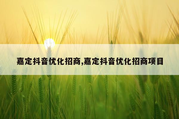 嘉定抖音优化招商,嘉定抖音优化招商项目