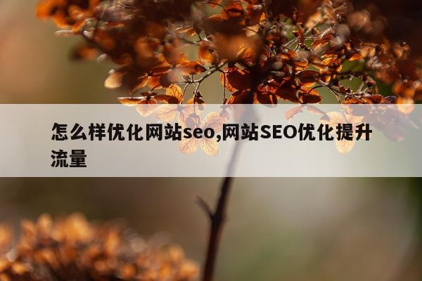 怎么样优化网站seo,网站SEO优化提升流量