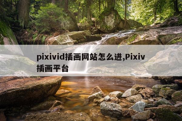 pixivid插画网站怎么进,Pixiv插画平台