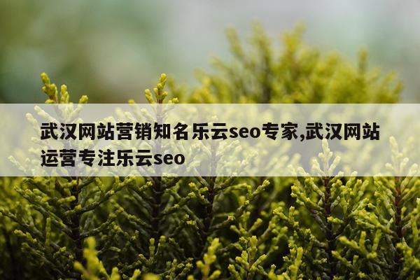 武汉网站营销知名乐云seo专家,武汉网站运营专注乐云seo