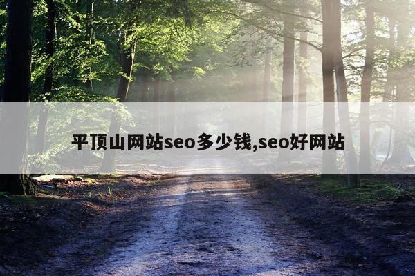 平顶山网站seo多少钱,seo好网站