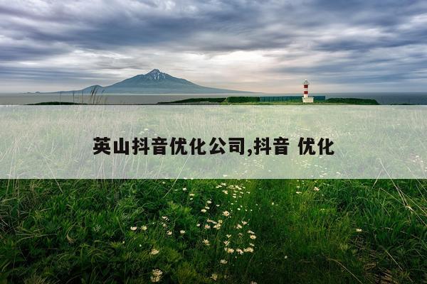 英山抖音优化公司,抖音 优化