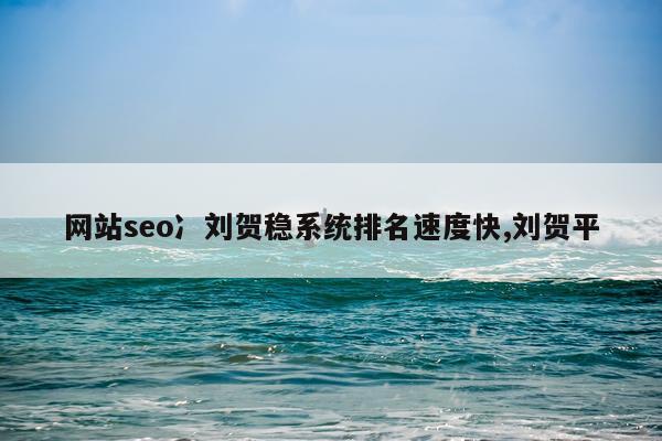 网站seo冫刘贺稳系统排名速度快,刘贺平