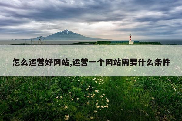 怎么运营好网站,运营一个网站需要什么条件