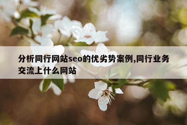 分析同行网站seo的优劣势案例,同行业务交流上什么网站