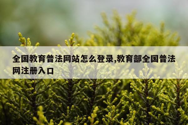 全国教育普法网站怎么登录,教育部全国普法网注册入口