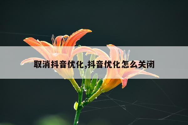 取消抖音优化,抖音优化怎么关闭