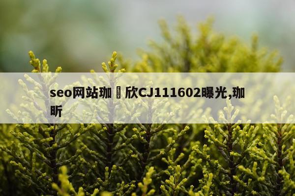 seo网站珈烓欣CJ111602曝光,珈昕