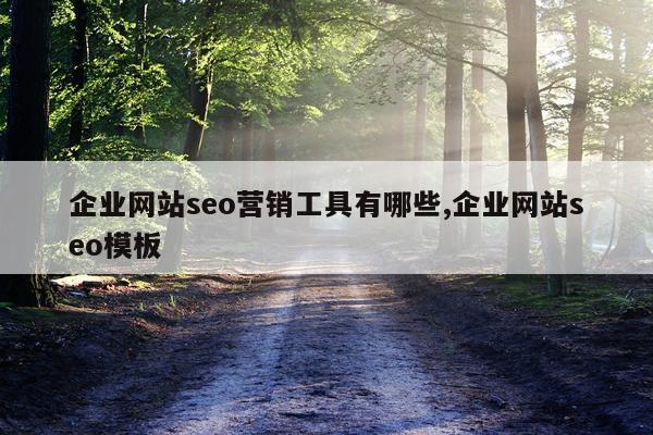 企业网站seo营销工具有哪些,企业网站seo模板