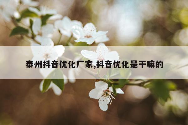 泰州抖音优化厂家,抖音优化是干嘛的