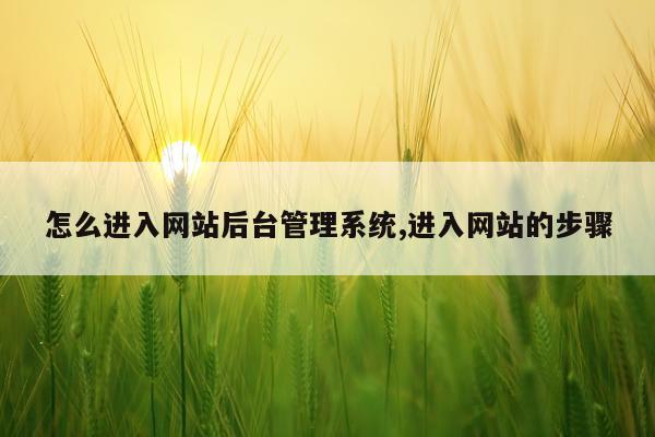 怎么进入网站后台管理系统,进入网站的步骤