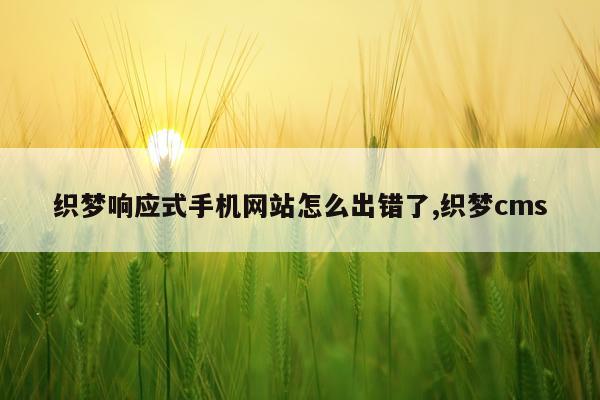 织梦响应式手机网站怎么出错了,织梦cms