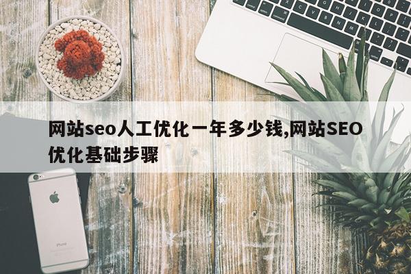 网站seo人工优化一年多少钱,网站SEO优化基础步骤