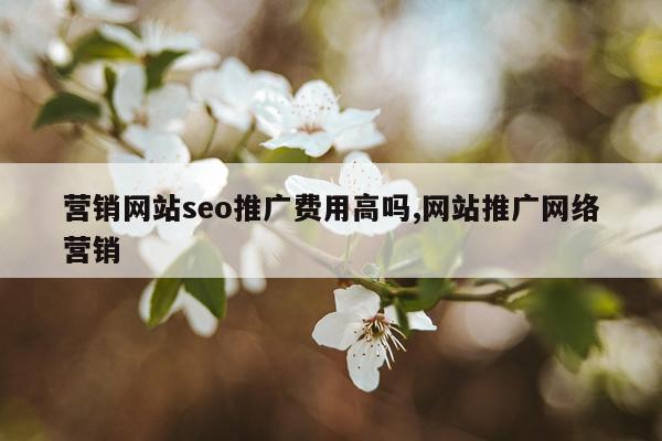 营销网站seo推广费用高吗,网站推广网络营销