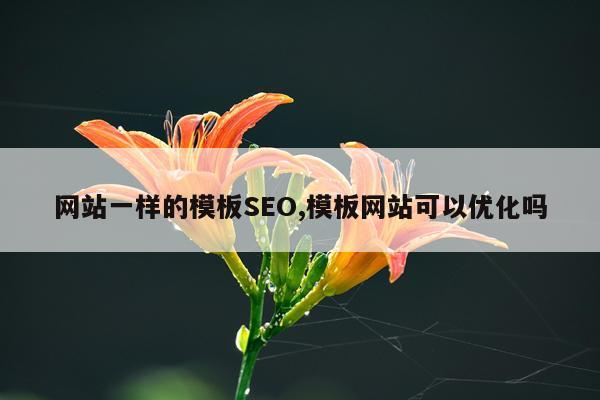 网站一样的模板SEO,模板网站可以优化吗