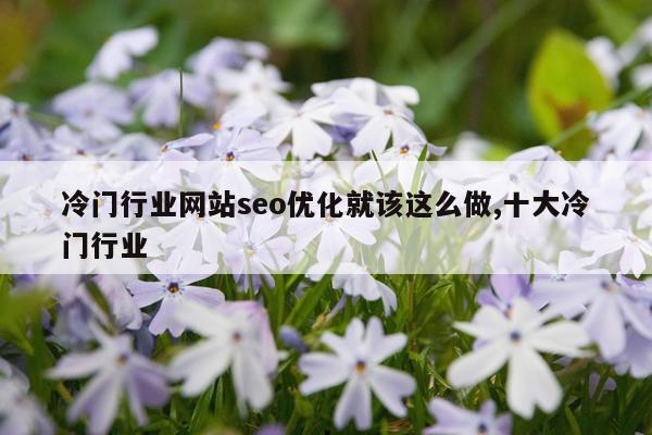 冷门行业网站seo优化就该这么做,十大冷门行业