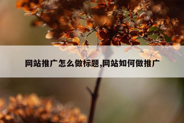 网站推广怎么做标题,网站如何做推广