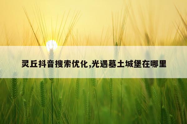 灵丘抖音搜索优化,光遇墓土城堡在哪里