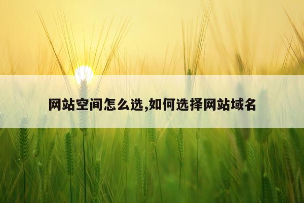 网站空间怎么选,如何选择网站域名