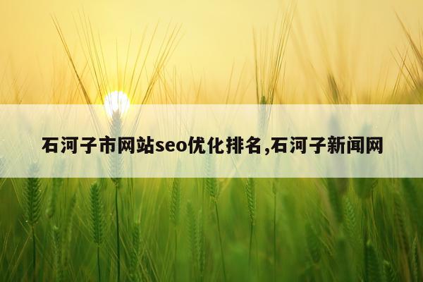 石河子市网站seo优化排名,石河子新闻网