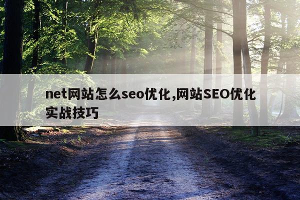 net网站怎么seo优化,网站SEO优化实战技巧