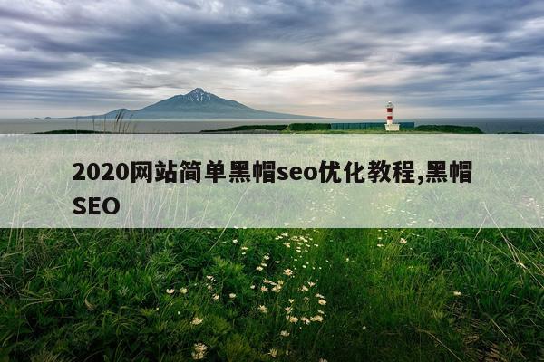 2020网站简单黑帽seo优化教程,黑帽SEO