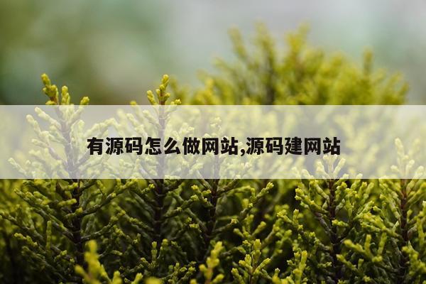有源码怎么做网站,源码建网站