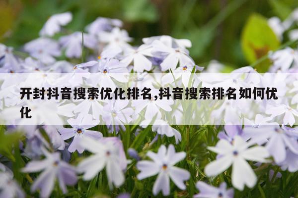 开封抖音搜索优化排名,抖音搜索排名如何优化