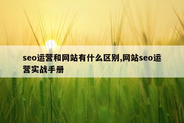 seo运营和网站有什么区别,网站seo运营实战手册
