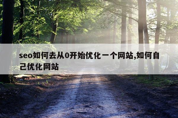 seo如何去从0开始优化一个网站,如何自己优化网站
