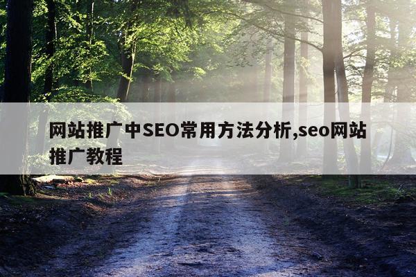 网站推广中SEO常用方法分析,seo网站推广教程
