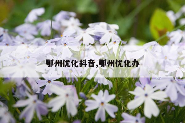 鄂州优化抖音,鄂州优化办