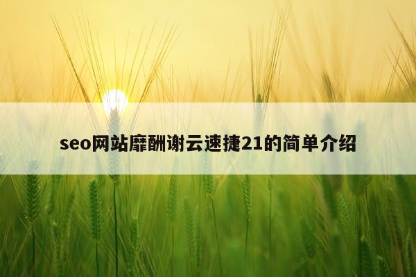 seo网站靡酬谢云速捷21的简单介绍