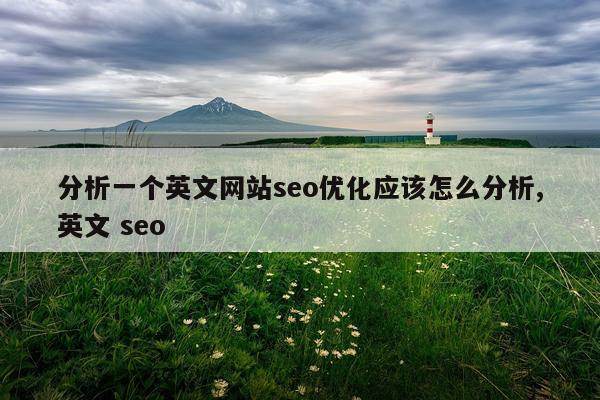 分析一个英文网站seo优化应该怎么分析,英文 seo