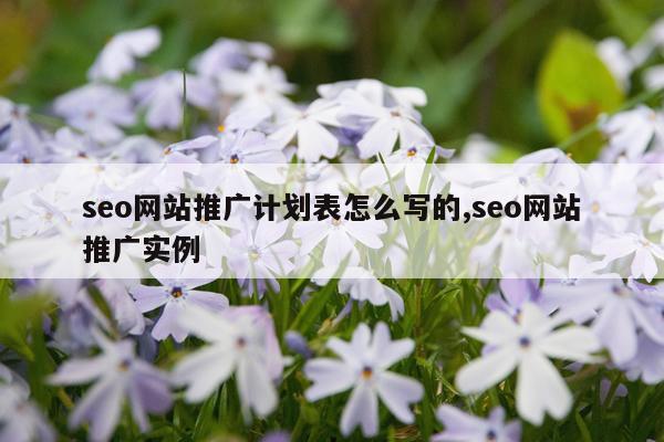 seo网站推广计划表怎么写的,seo网站推广实例