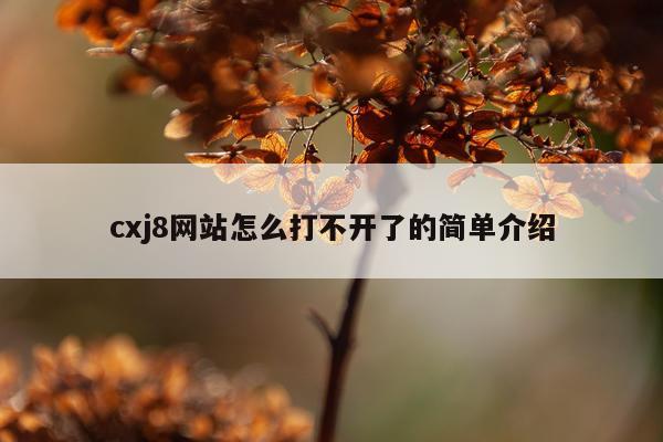cxj8网站怎么打不开了的简单介绍
