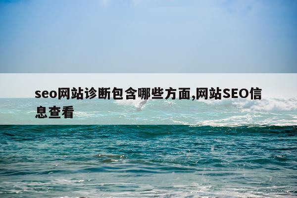 seo网站诊断包含哪些方面,网站SEO信息查看