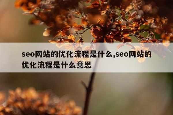 seo网站的优化流程是什么,seo网站的优化流程是什么意思