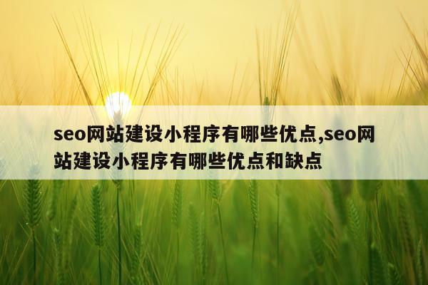 seo网站建设小程序有哪些优点,seo网站建设小程序有哪些优点和缺点