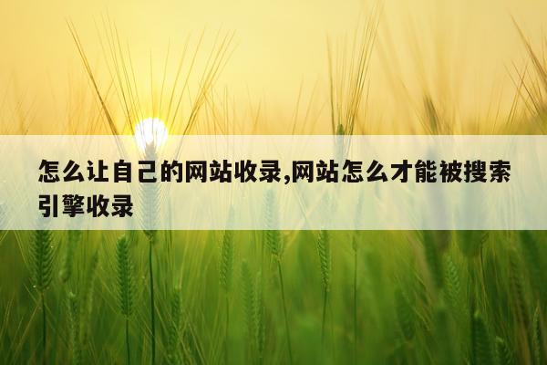 怎么让自己的网站收录,网站怎么才能被搜索引擎收录