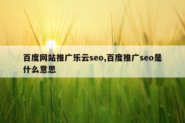 百度网站推广乐云seo,百度推广seo是什么意思