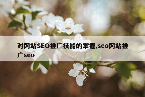 对网站SEO推广技能的掌握,seo网站推广seo