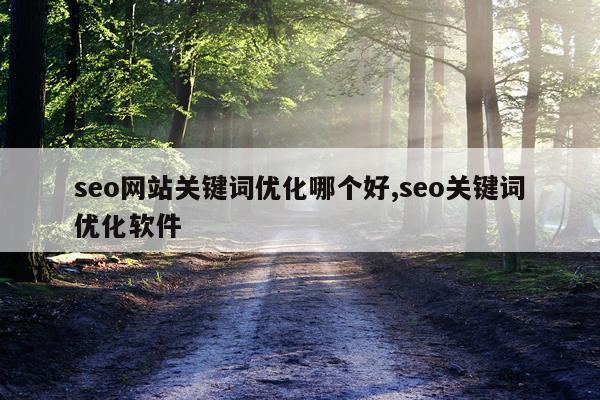 seo网站关键词优化哪个好,seo关键词优化软件