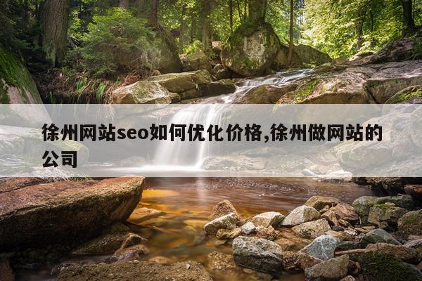 徐州网站seo如何优化价格,徐州做网站的公司